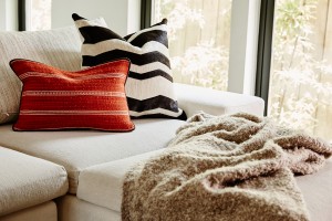 Pulp Design Studios Family Room Pillows