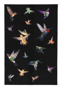 alexander-mcqueen-hummingbird-rug_1600_1_3