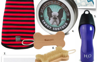 HOLIDAY GIFT GUIDE 2013: FOR PET