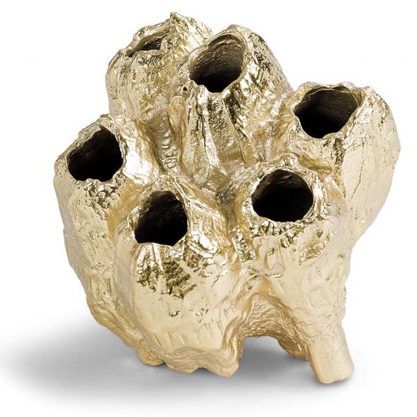 Pulp Home – Gold Barnacle