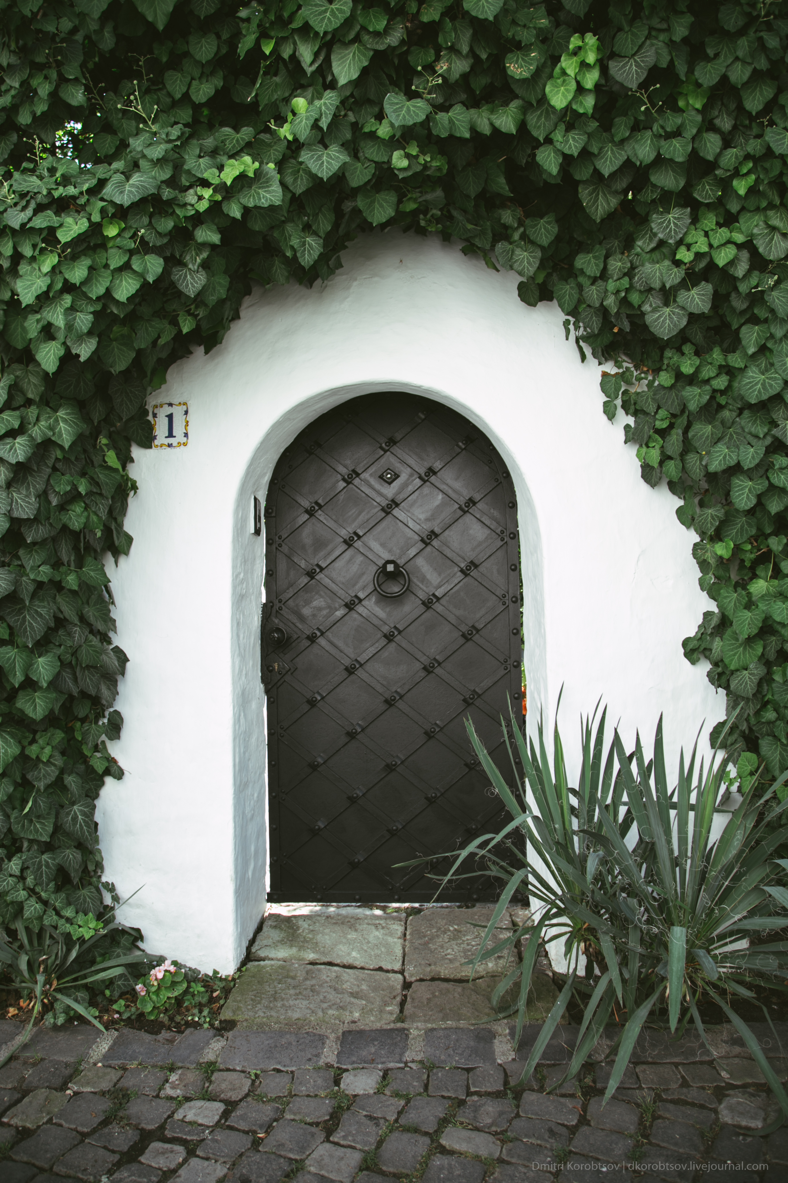 8 Stylish Door Knockers