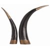 Pulp Home – Diana Authentic Horns, Set of 2