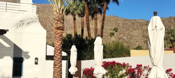 Travel Guide to Palm Springs, Modernism Week Guide, Interior Designers Guide to Palm Springs, Best Hotels Palm Springs, Best Restaurants Palm Springs, Palm Springs Shopping, Palm Springs Homes, La Serena Palm Springs