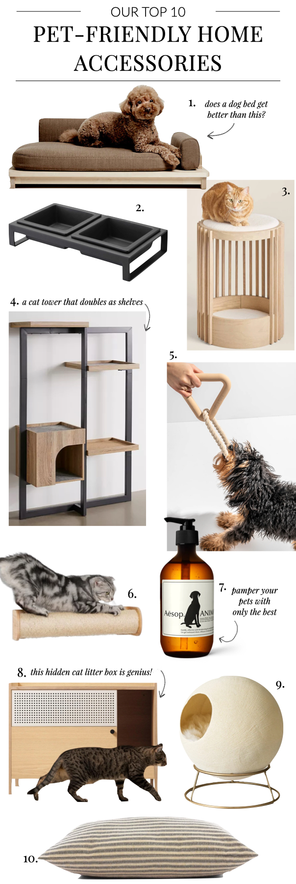 Luxury Dog Accessories for Stylish Pets
